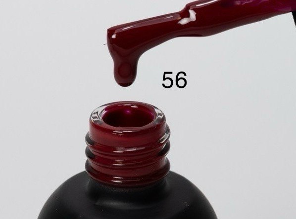 5656565656